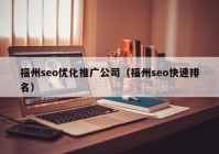 福州seo优化推广公司（福州seo快速排名）