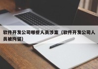 软件开发公司哪些人员涉案（软件开发公司人员被拘留）