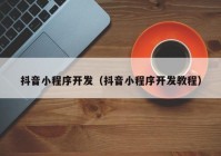 抖音小程序开发（抖音小程序开发教程）