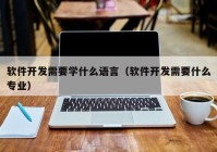 软件开发需要学什么语言（软件开发需要什么专业）