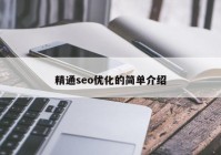 精通seo优化的简单介绍