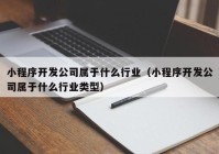 小程序开发公司属于什么行业（小程序开发公司属于什么行业类型）